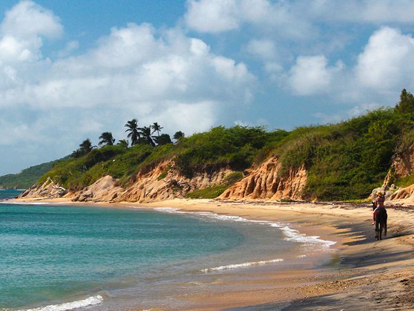 Welcome to Vieques!